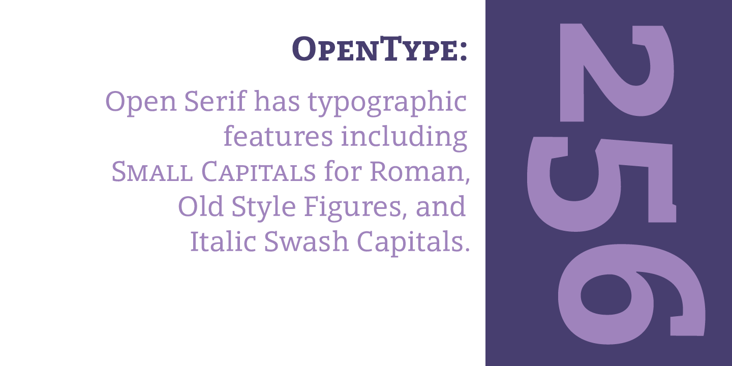 Ejemplo de fuente Open Serif Bold Italic